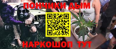 мдпв Обь