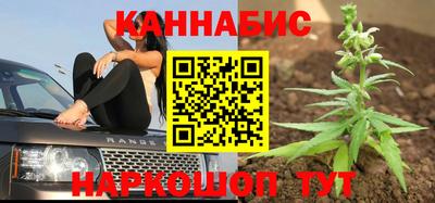 мдпв Обь