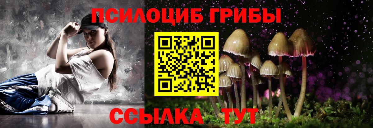 Омск  Псилоцибиновые грибы мухоморы  Псилоцибиновые грибы MAGIC MUSHROOMS  Вход с VPN 